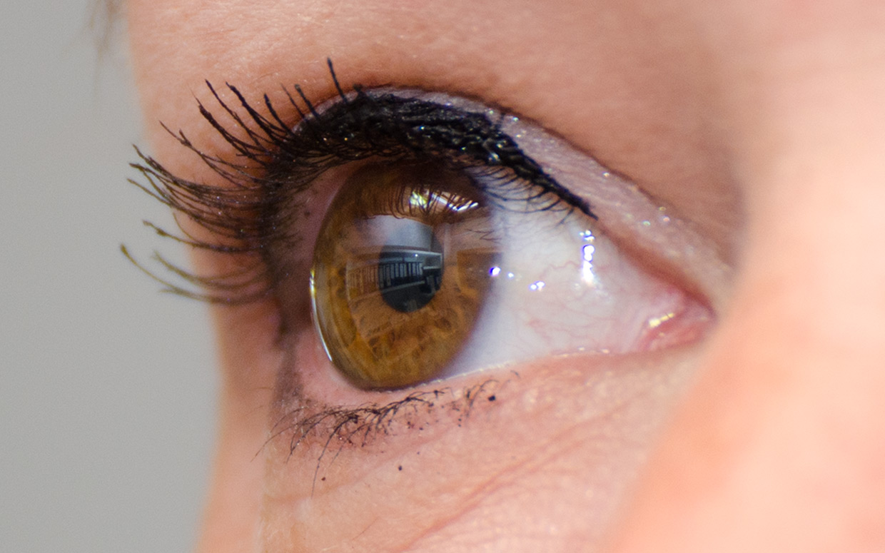 Aufbau des Auges und der menschliche Sehprozess